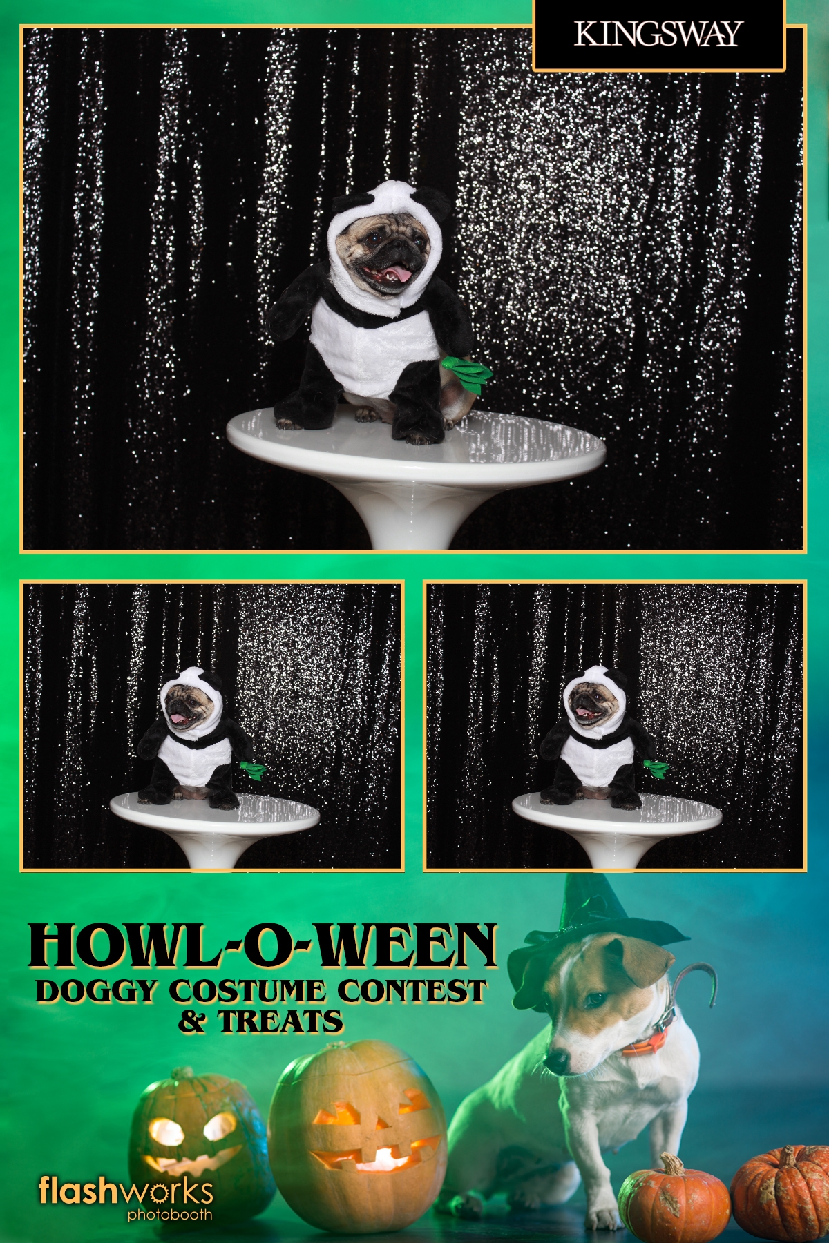 Kingsway Howl-O-Ween Doggy Costume Contest | View more photos from the event at gallery.flashworksphotobooth.com/u/FlashworksPhotoboothInc/Kingsway-Howl-O-Ween-Doggy-Costume-Contest